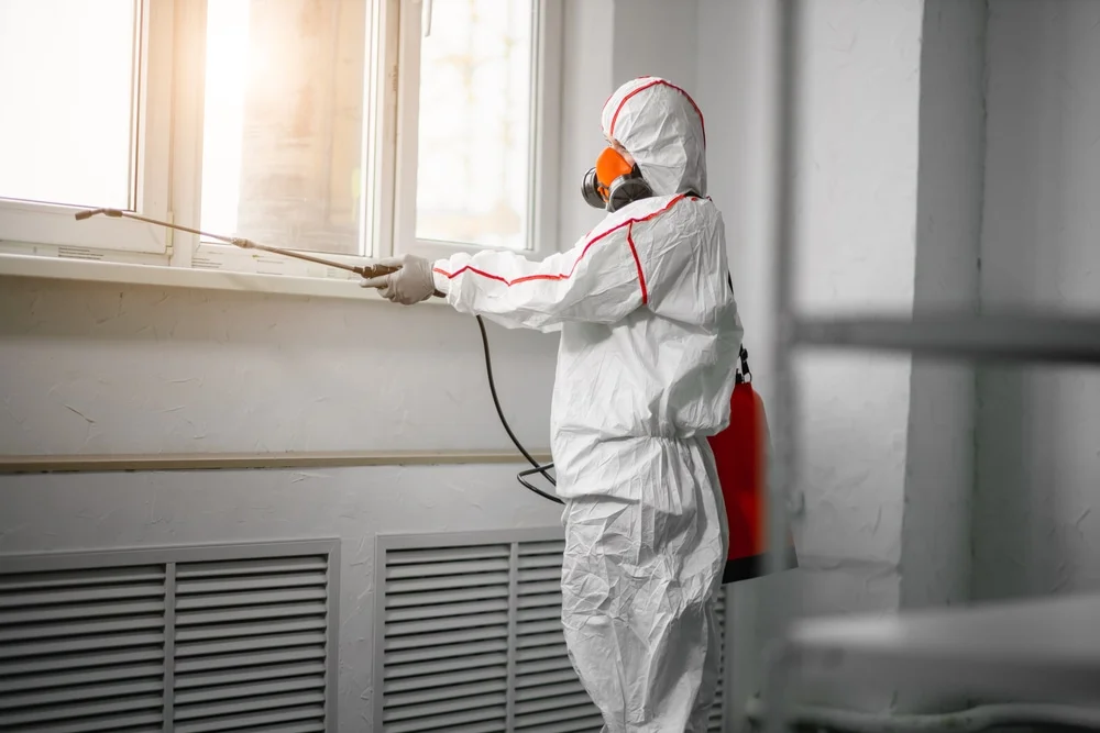 Professional mold remediation services in Barnhart, MO